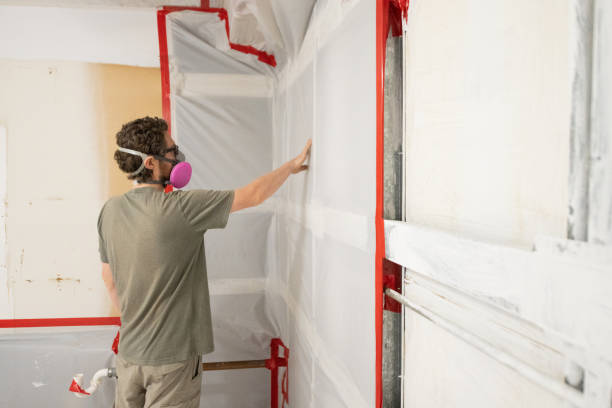 Best Industrial Mold Remediation  in Eden Prairie, MN
