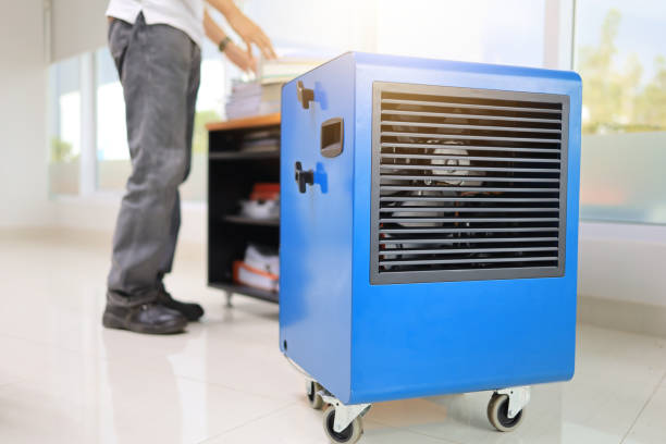 Best Residential Mold Inspection & Testing  in Eden Prairie, MN