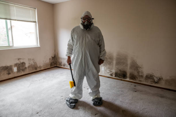 Best Crawl Space Mold Remediation  in Eden Prairie, MN